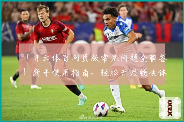 「开云体育网页版常见问题全解答！新手使用指南，轻松开启畅快体验」