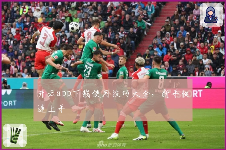 开云app下载使用技巧大全，新手快速上手