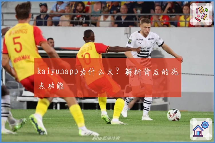 kaiyunapp为什么火?解析背后的亮点功能