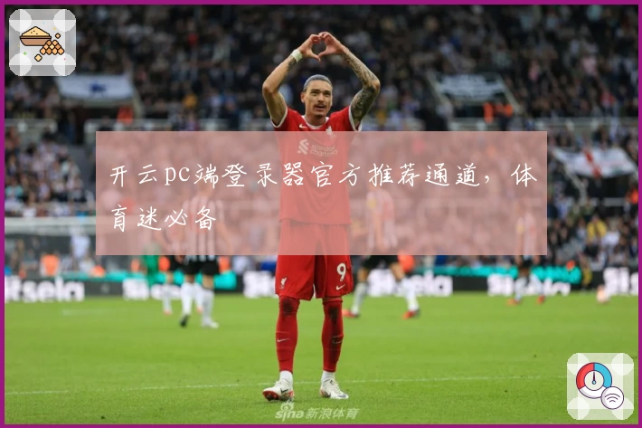 开云pc端登录器官方推荐通道,体育迷必备