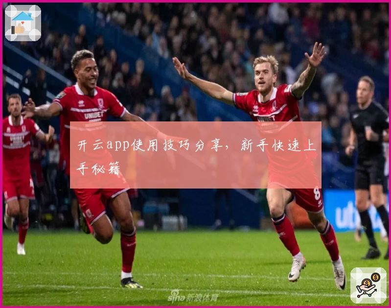 开云app使用技巧分享，新手快速上手秘籍